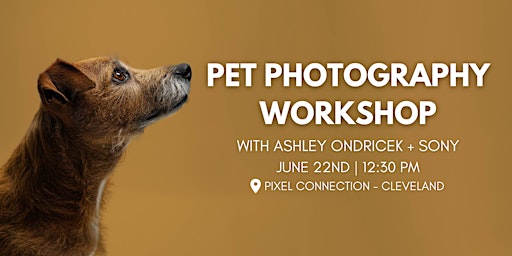 Imagem principal do evento Pet Photography Workshop with Sony at Pixel Connection - Cleveland