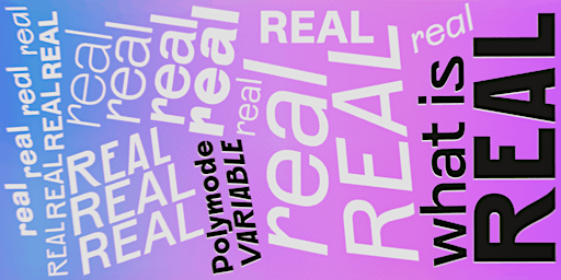 Image principale de What is Realness? Freeing type from a fixed viewpoint