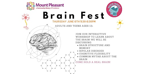 Imagem principal do evento Brain Fest