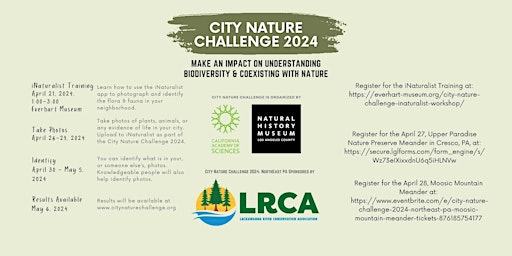 Imagem principal de City Nature Challenge 2024: NorthEast PA - Moosic Mountain Meander
