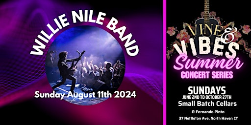 Primaire afbeelding van Willie Nile Band - Vine and Vibes Summer Concert Series
