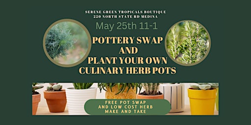 Imagem principal do evento Plant Your Own Culinary Herb Pots!