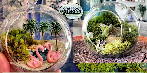 Terrarium Globe Sip + Plant| The Tangled Vine primary image