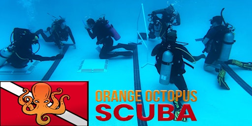 Imagem principal do evento Discover Scuba Diving with Orange Octopus Scuba