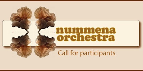 nummena orchestra Spring 2024: Call for Participants