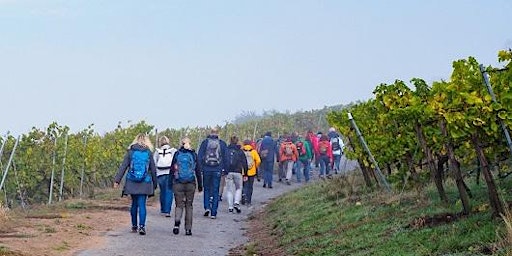 Hauptbild für Mo,20.05.24 Wanderdate Singlewandern Highlights der Bergstraße für alle