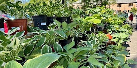 Master Gardeners of Ocean County Plant Sale