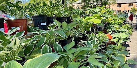 Master Gardeners of Ocean County Plant Sale