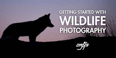 Primaire afbeelding van Getting Started with Wildlife Photography