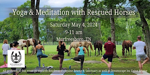 Yoga & Meditation with Rescued Horses primary image