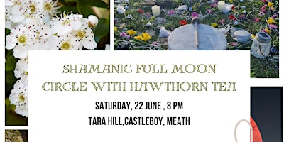 Shamanic Full Moon Ceremony with Hawthorn Tea at the Hill of Tara primary image