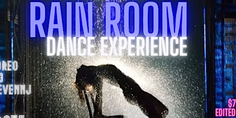 RAIN ROOM *Dance Experience*