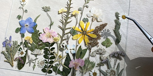 Primaire afbeelding van Meadow Style Framed Floral Workshop 4/25