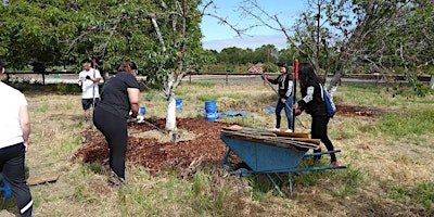 Hauptbild für Historic Orchard Workday with Master Gardeners of Santa Clara County