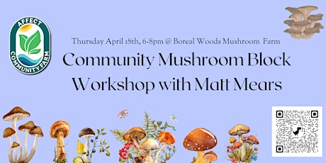 Community  Mushroom Block  Workshop
