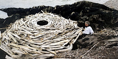 Imagem principal de RIVERS AND TIDES: ANDY GOLDSWORTHY WORKING WITH TIME documentary screening!