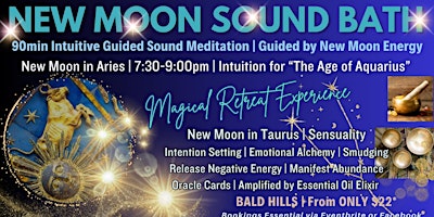 Imagem principal de New Moon in Gemini Sound Bath | Celebrating the Age of  Aquarius!