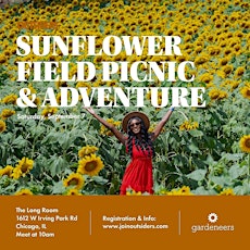 Sunflower Field Adventure Chicago