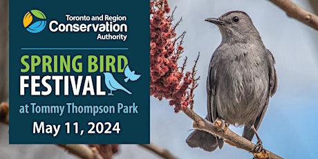 TRCA Spring Bird Festival: Shrub Planting