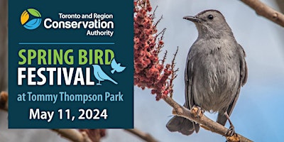 Imagem principal de TRCA Spring Bird Festival: Shrub Planting