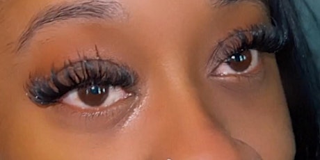 Beginner Lash Course