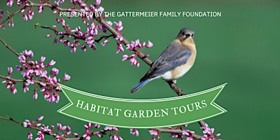 Primaire afbeelding van 2024 Habitat Garden Tours - 7 months of native gardens