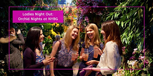 Primaire afbeelding van Ladies Night Out: Orchid Nights at NYBG
