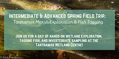 Imagem principal do evento Int & Adv Spring Field Trip:  Tantramar Marsh Exploration & Fish Tagging