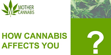 Mother Cannabis Presentation primary image