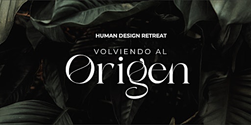 Imagen principal de VOLVIENDO AL ORIGEN