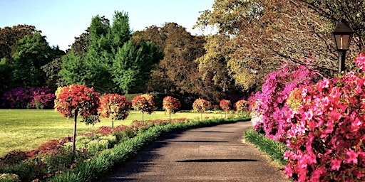 Primaire afbeelding van Jersey Gardening Club - Unforgettable Garden Scenes