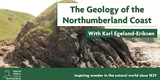 Hauptbild für Geology of the Northumberland Coast