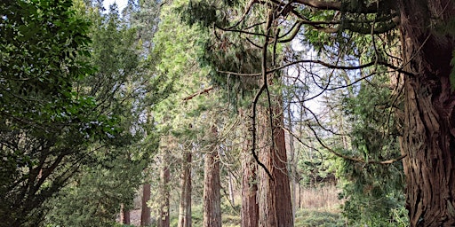 Hauptbild für Guided Tree Walk & Workshop