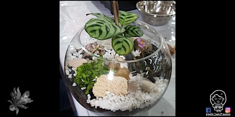 Terrarium Workshop with Rock Leaf Moss @ The Salty Dog Hotel primary image