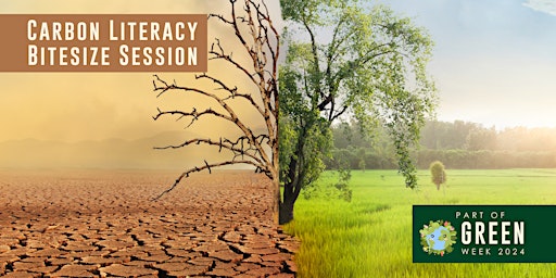 Imagem principal de Carbon Literacy Bitesize Sessions