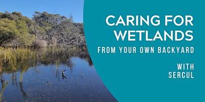 Imagen principal de How To Care For Wetlands From Your Own Backyard