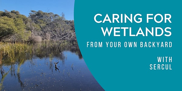 How To Care For Wetlands From Your Own Backyard