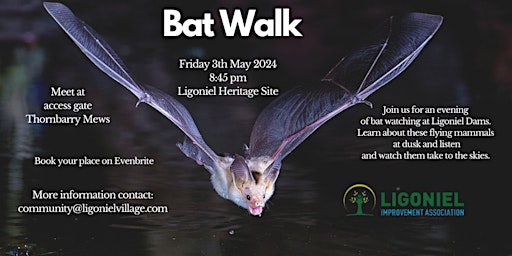 Imagem principal do evento Bat Walk in Ligoniel Heritage Site