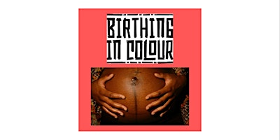 Primaire afbeelding van Birthing in Colour