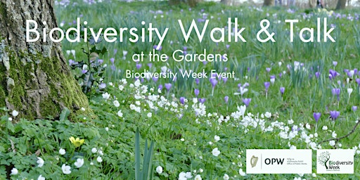 Hauptbild für Biodiversity Week: Biodiversity Walk & Talk