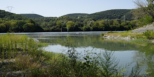 Imagem principal de Sortie vélo  sur les bords du Rhône