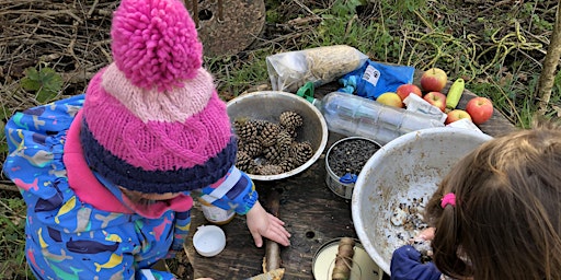 Imagen principal de Grange Farm Forest School Nature Tots