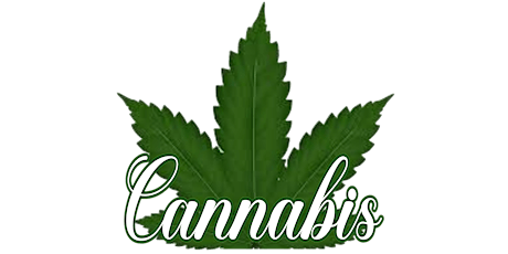 Launch Your Very Own Virtual (Online) Cannabis Dispensary Store-Live Zoom