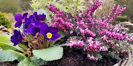 Create your own Spring Plant Pot Arrangement primary image