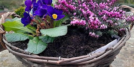 Hauptbild für Create your own Spring Plant Pot Arrangement