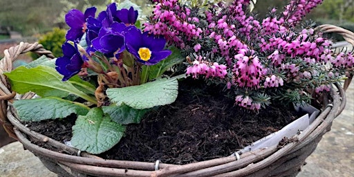 Primaire afbeelding van Create your own Spring Plant Pot Arrangement