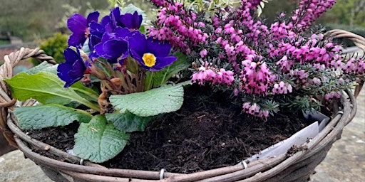 Imagem principal do evento Create your own Spring Plant Pot Arrangement