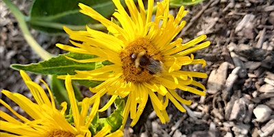 Primaire afbeelding van Nature Explorers