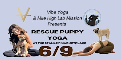Hauptbild für Rescue Puppy Yoga @ Stanley Marketplace!