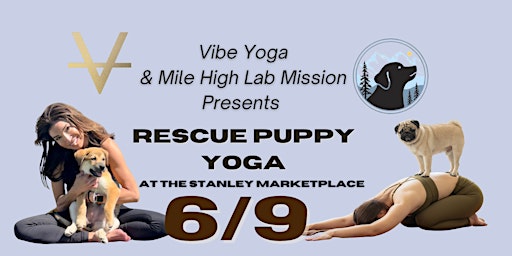 Imagem principal de Rescue Puppy Yoga @ Stanley Marketplace!